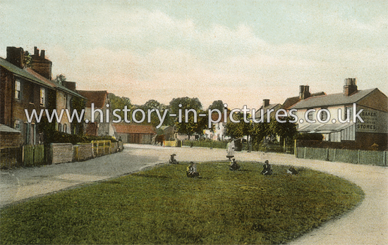 The Green, Hatfield Peverel, Essex. c.1908